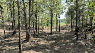 TBD, Tract 3 Polk Road 158, Mena, AR 71953