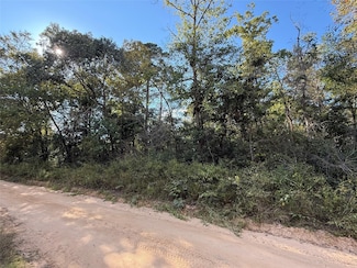 TBD Lannie Blvd, Livingston, TX 77351