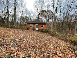 51903 Blattler Rd, Clarington, OH 43915