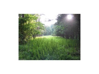 0 Douglas Run Rd Unit 3829735, Other, WV 26170