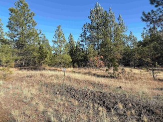 35450 Prairie Ln N Unit Lot 2, Creston, WA 99117