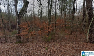 0 Low Gap Rd Unit 21425406, New Hope, AL 35760