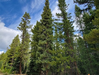 165 Silverheels Place, Fairplay, CO 80440