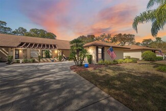 3511 Niblick Ct, New Port Richey, FL 34655