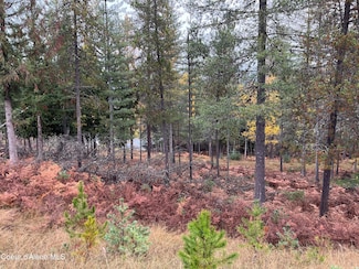 102 Blazing Saddle, Pinehurst, ID 83850