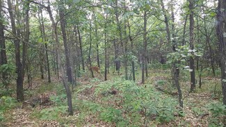 3.89 Ac 6th Ct, Leola, WI 54943