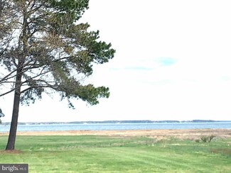 21390 Ferry Landing Rd, Tilghman Island, MD 21671