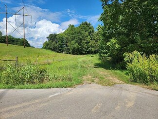 8811 Knottsville-Mount Zion Rd, Philpot, KY 42366