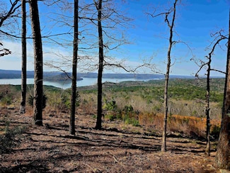 117 Eagle Ridge Trace, Fairfield Bay, AR 72088