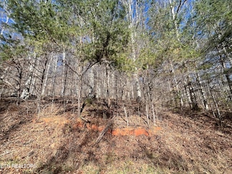 lot 9 Jones Ridge Rd, Speedwell, TN 37870
