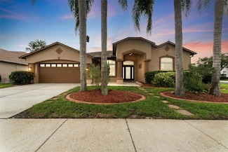 25946 Buckthorn Ave, Land O Lakes, FL 34639