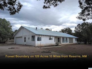58 Brown Ln, Reserve, NM 87803