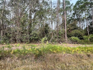 122 2nd St, Georgetown Cove, FL 32139