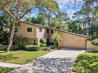 3047 Enisglen Dr, Palm Harbor, FL 34683