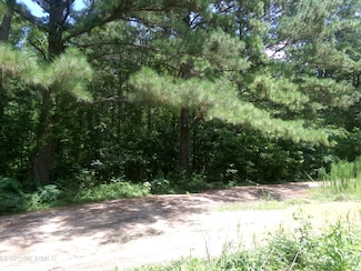 Lot 16 Straightway Dr, Fairmont, NC 28340