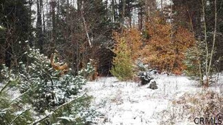 0 Wileytown Rd Unit 201201625, Providence, NY 12850