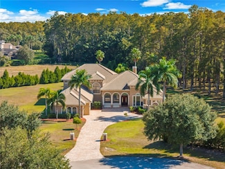 17336 Ballmont Park Dr, Odessa, FL 33556