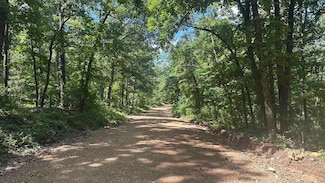 000 E Campground Rd, Ash Flat, AR 72513