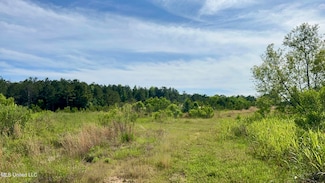 0 S South Pearson Rd Unit 4113860, Jackson, MS 39208