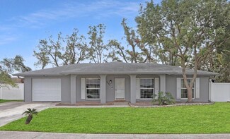 6543 Spanish Moss Cir Unit 1, Tampa, FL 33625