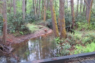 L46 Stones Lake Rd, Little River, NC 28718