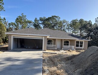 8767 N Raidin Dr, Citrus Springs, FL 34433
