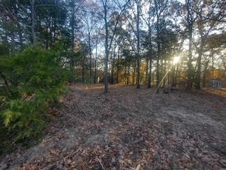 0 Westwood Unit 25045363, Mountain View, AR 72560