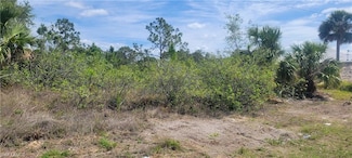 872 Aldrich St E, Lehigh Acres, FL 33974