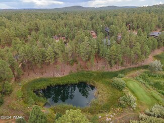 450 S Rockcress Ln, Show Low, AZ 85901