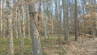 00 Easy Run Rd, Danville, VA 24540