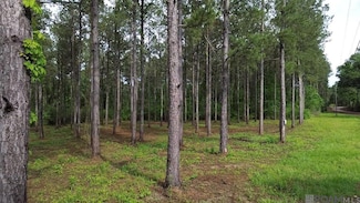 Tract D Monroe Stevens Rd, Kentwood, LA 70444