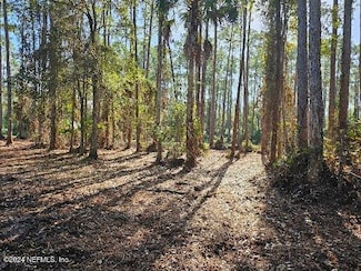 0 Shirley Cir, Georgetown Cove, FL 32139