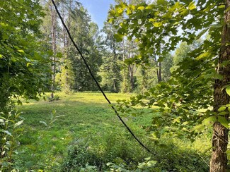 3367 Webb Rd, Crum, WV 25669