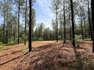 0 Spokelay Rd Unit RTC2946640, Spencer, TN 38585