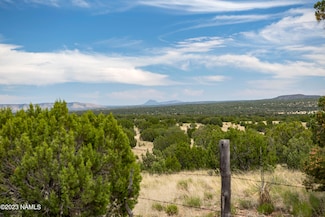 000-A Pine Ridge Rd, Seligman, AZ 86337