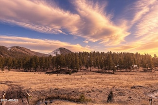 -- Country Road 2276 -- Unit 2, Nutrioso, AZ 85932