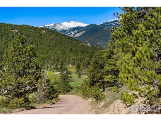 223 Taylor Rd, Allenspark, CO 80540