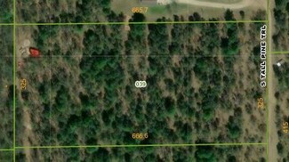 VL S Tall Pine Trail, Newaygo, MI 49337