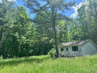 8546 Seneca Way, Caneadea, NY 14717