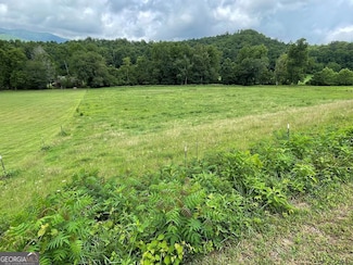 LOT 4B Eagle Fork Rd, Hayesville, NC 28904