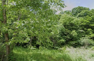 0 Cabin Branch Rd, Rock, WV 24747