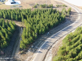 728 Freedom Ridge Ln, Brandon, MS 39047