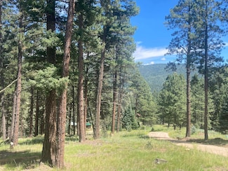 Valle Escondido Wapiti Loop, Taos, NM 87571