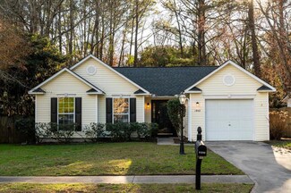 1957 Walkers Ferry Place, Johns Island, SC 29455