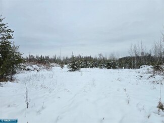 TBD Minnesota 37, Iron Junction, MN 55751