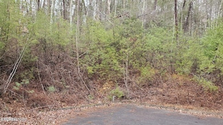 Lot 15 Peace Ln, Sevierville, TN