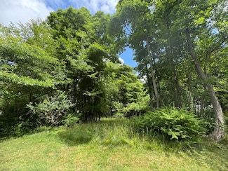 125 W Shore Woods, Douglas, MI 49406