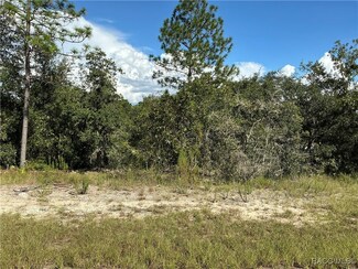 3024 W Marie Dr, Citrus Springs, FL 34433