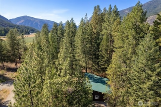 15 Deer Run, Mazama, WA 98833