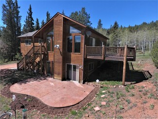 12397 S Danny Ave, Pine, CO 80470